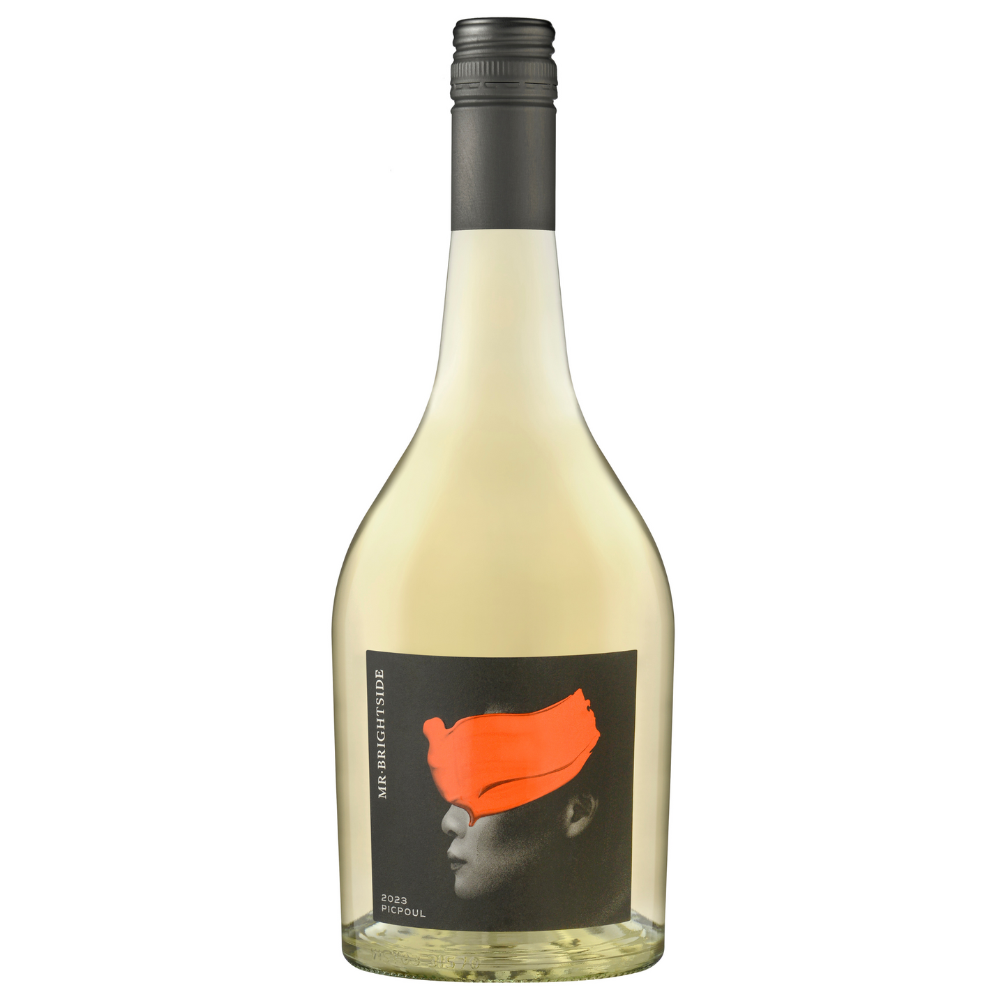 
                  
                    Mr. Brightside Picpoul - 6 Pack Deal
                  
                